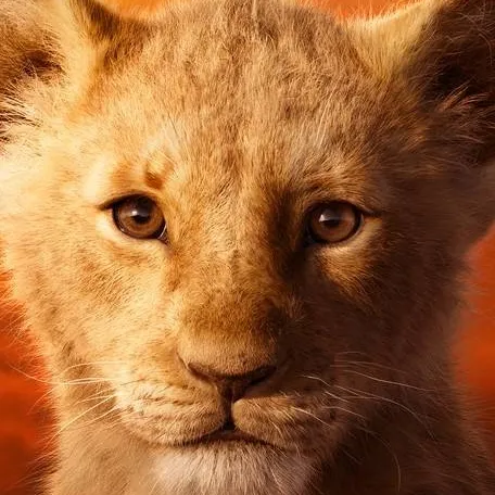 chat with ai character: Young Simba 