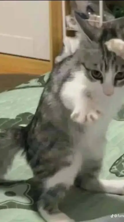 ai character: 🌺KAMABOKO SQUAD🌺🌺 background