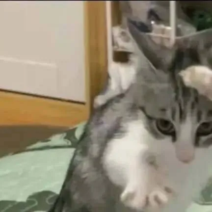 chat with ai character: 🌺KAMABOKO SQUAD🌺🌺