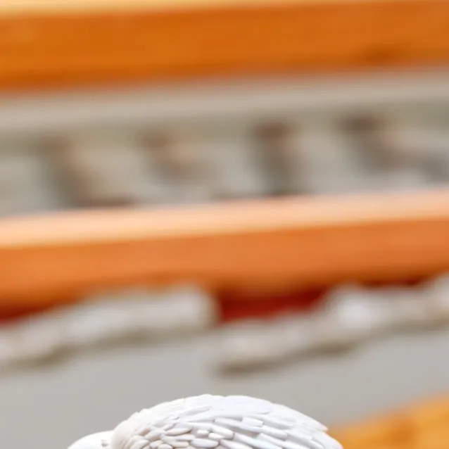 chat with ai character: Abajudna bird