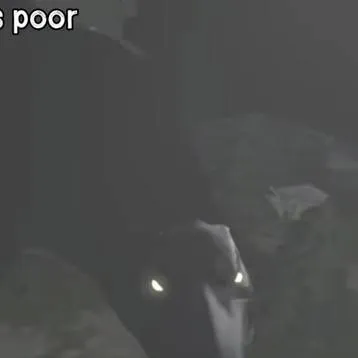 chat with ai character: soy una ave sombre