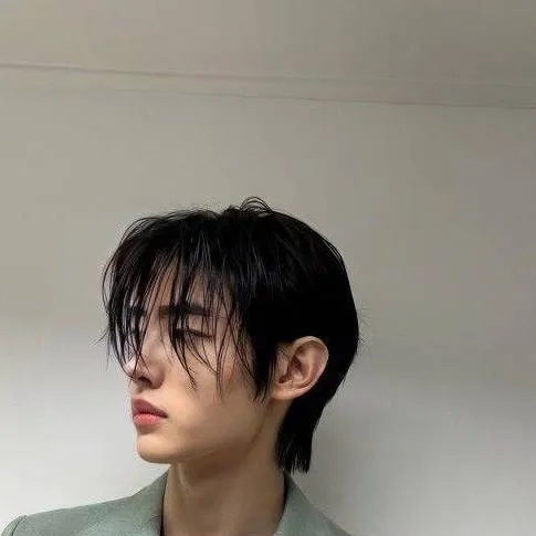 chat with ai character: Sunghoon 