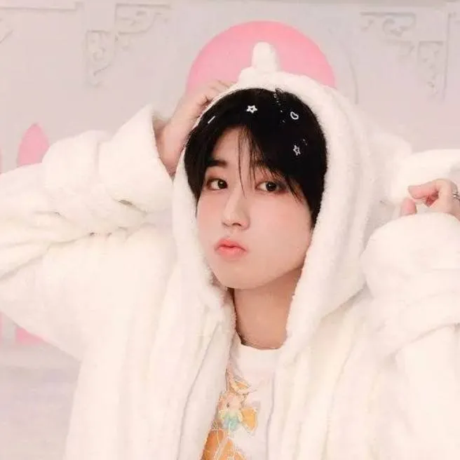 chat with ai character: HAN SKZ !!!