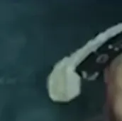 chat with ai character: Henry VIII