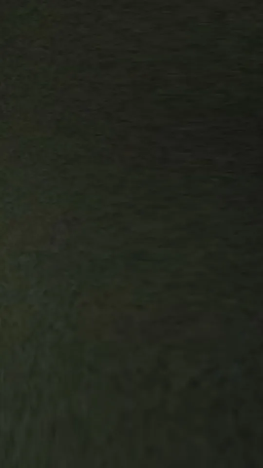 ai character: Mroona Phase 2 background