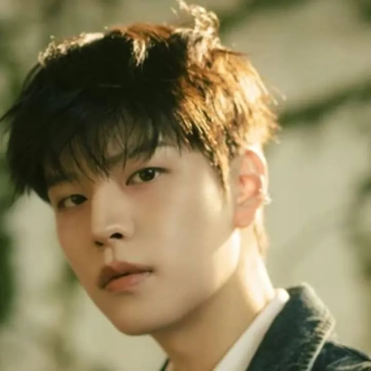 chat with ai character: Seungmin 