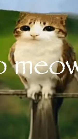 ai character: Meowl background