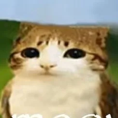 chat with ai character: Meowl