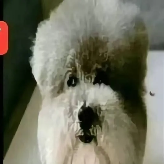 chat with ai character: He madea statement