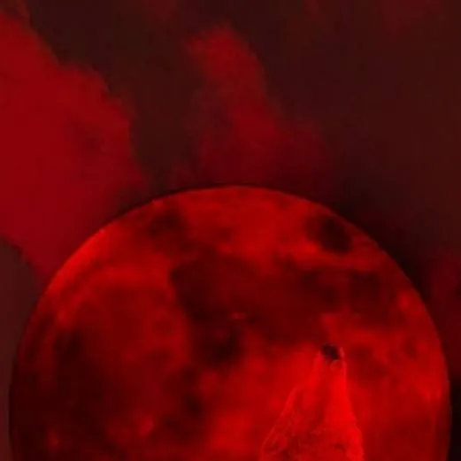 chat with ai character: Blood wolf leader 