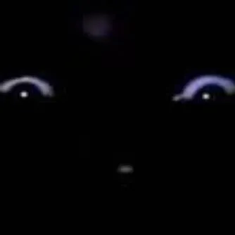 chat with ai character: you're nightmare