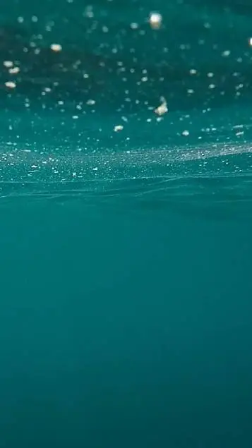 ai character: 👾 Szkoła basen👾  background