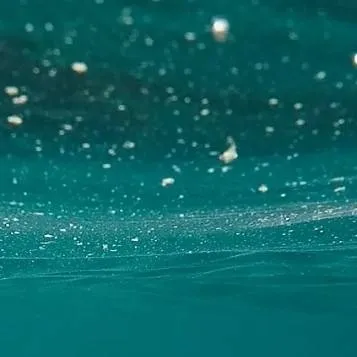 chat with ai character: 👾 Szkoła basen👾 