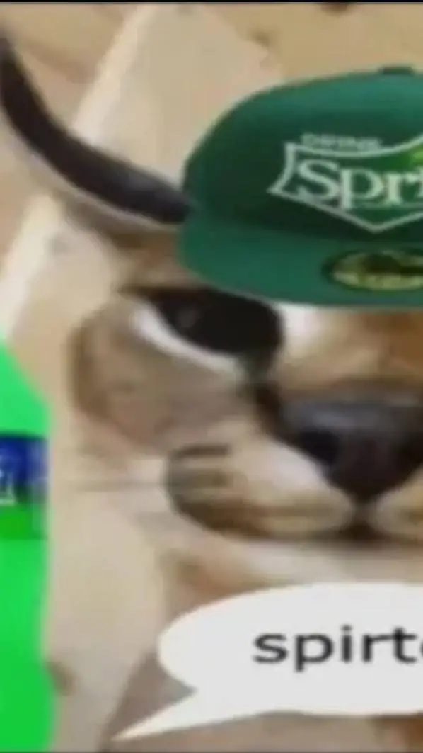 ai character: Sprite kotek  background