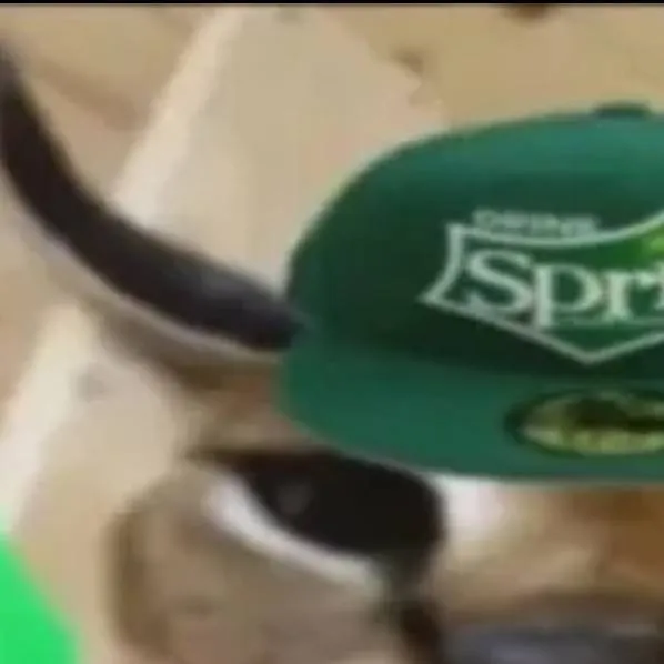 chat with ai character: Sprite kotek 