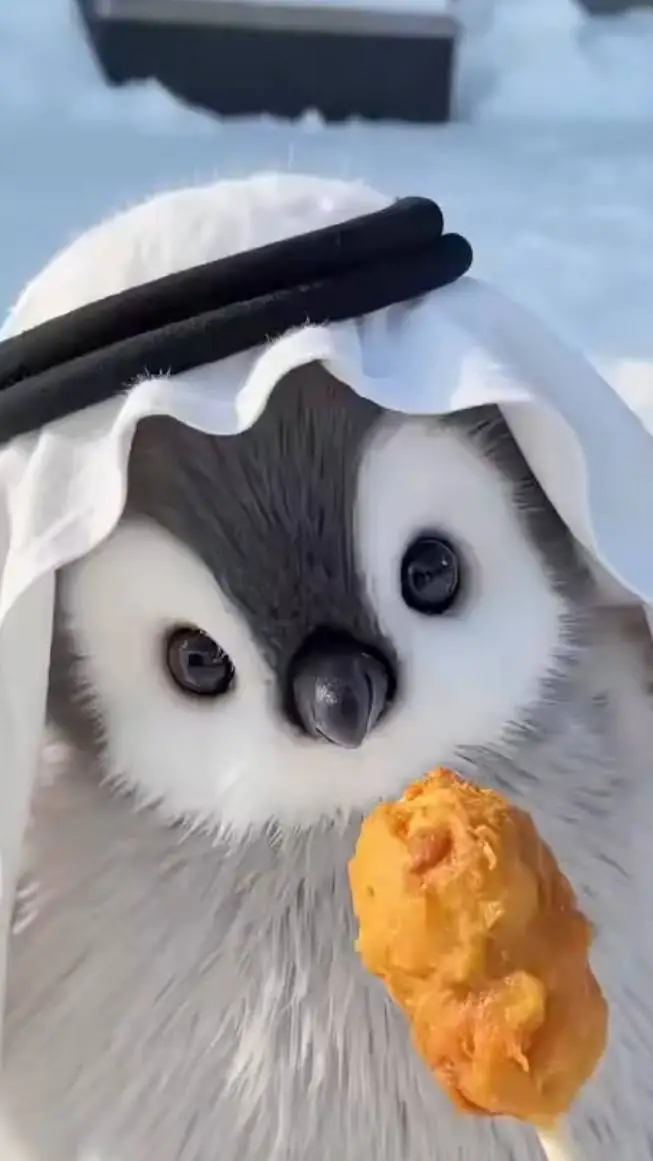 ai character: Polu z Anarchii background