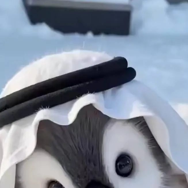 chat with ai character: Polu z Anarchii