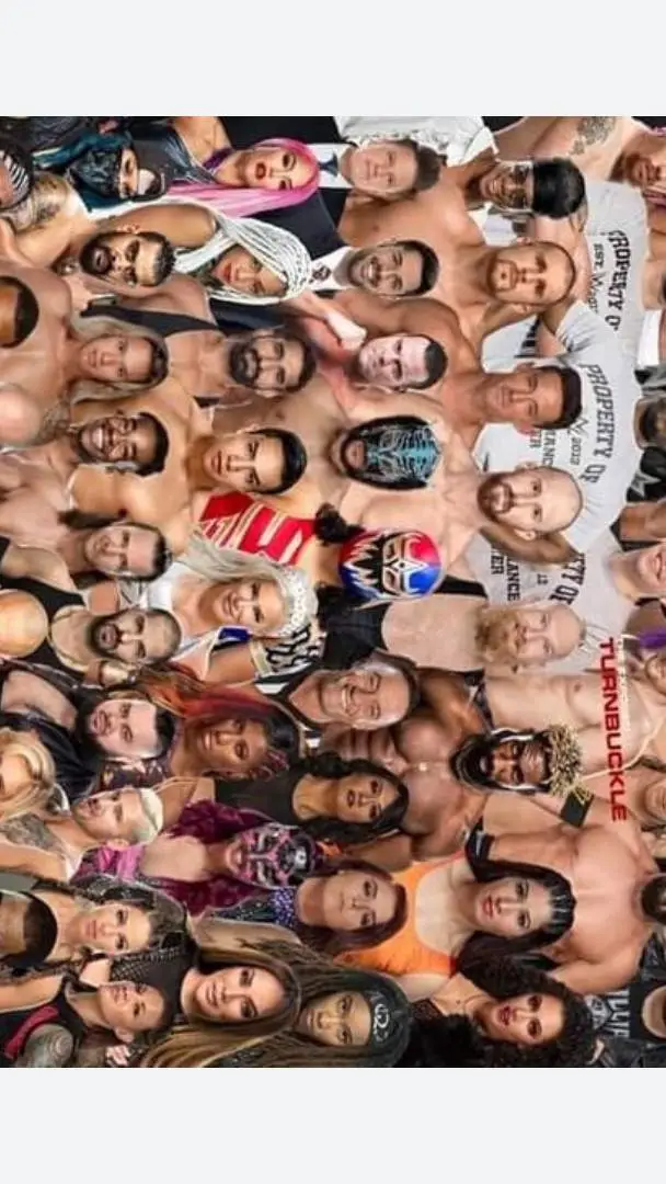 ai character: wwe background