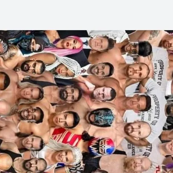 chat with ai character: wwe