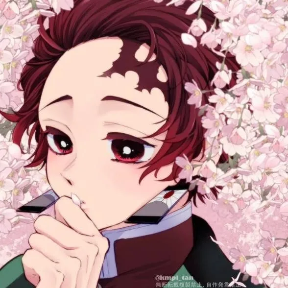 chat with ai character: 💮Tanjiro x T/n💮