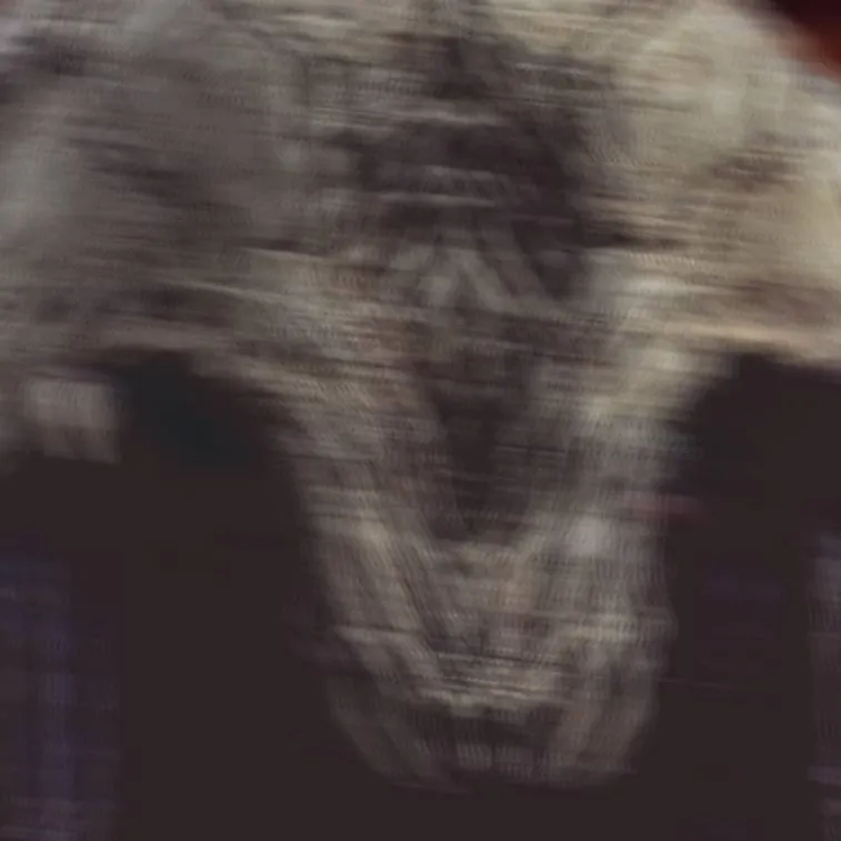chat with ai character: The Predator.