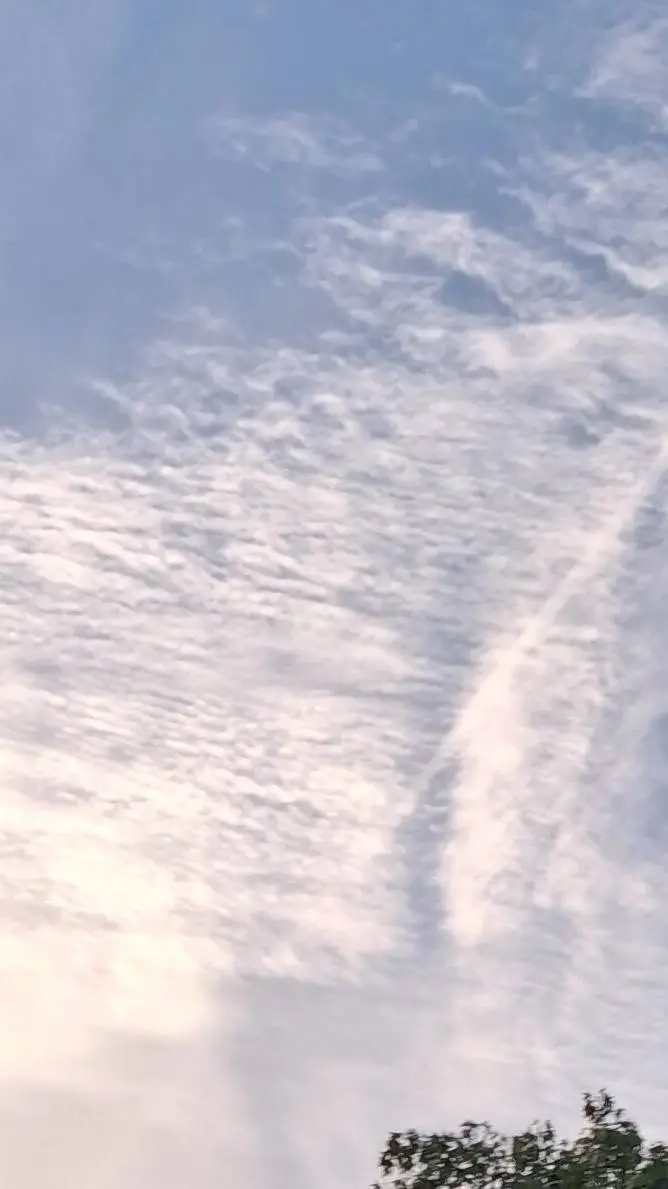 ai character: guesser background