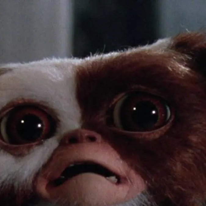 chat with ai character: Gremlins 