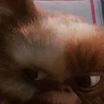 chat with ai character: Gremlins