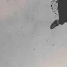 chat with ai character: Teen wolf season 3