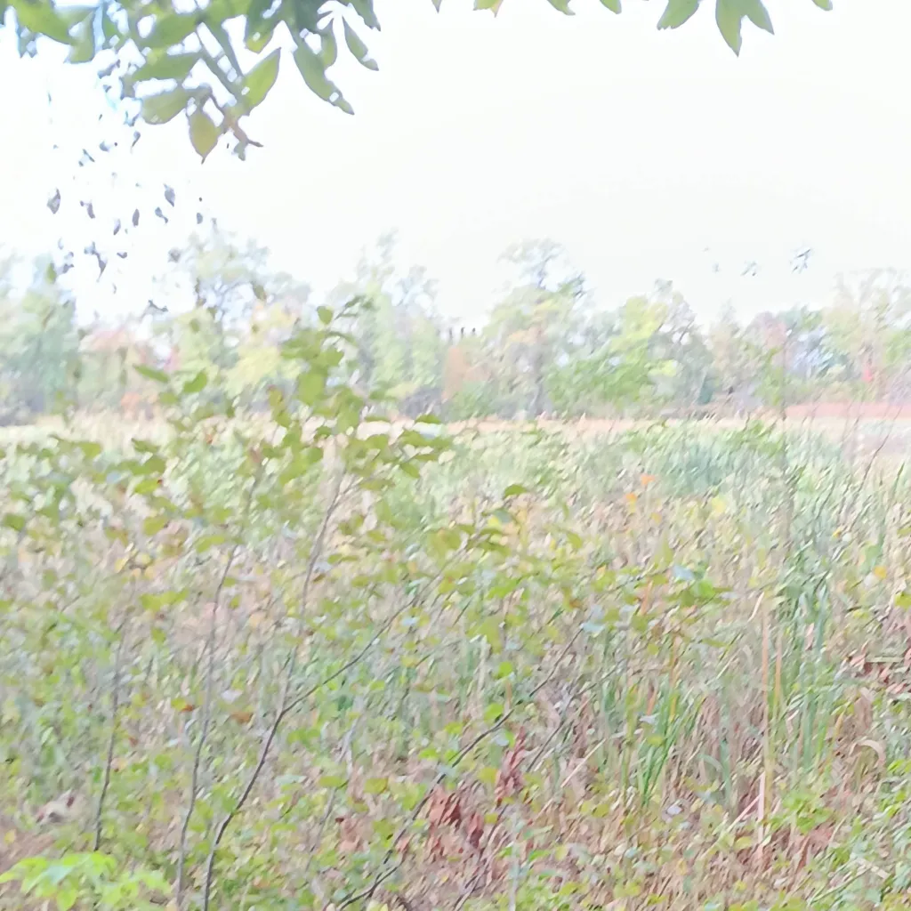 chat with ai character: tanjiro angst