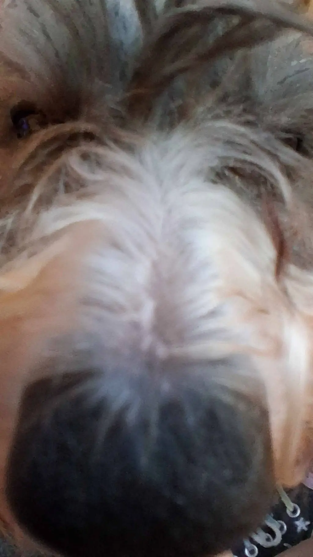 ai character: sanegiyuu angst background