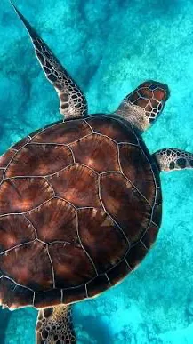 ai character: IT Halloween  background