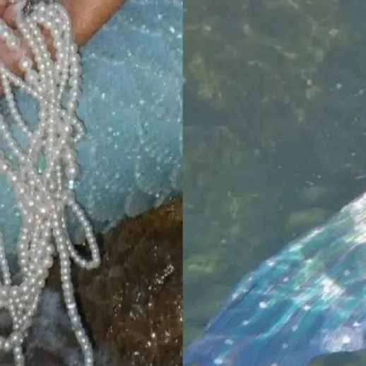 chat with ai character: fruitcaake(?x) 