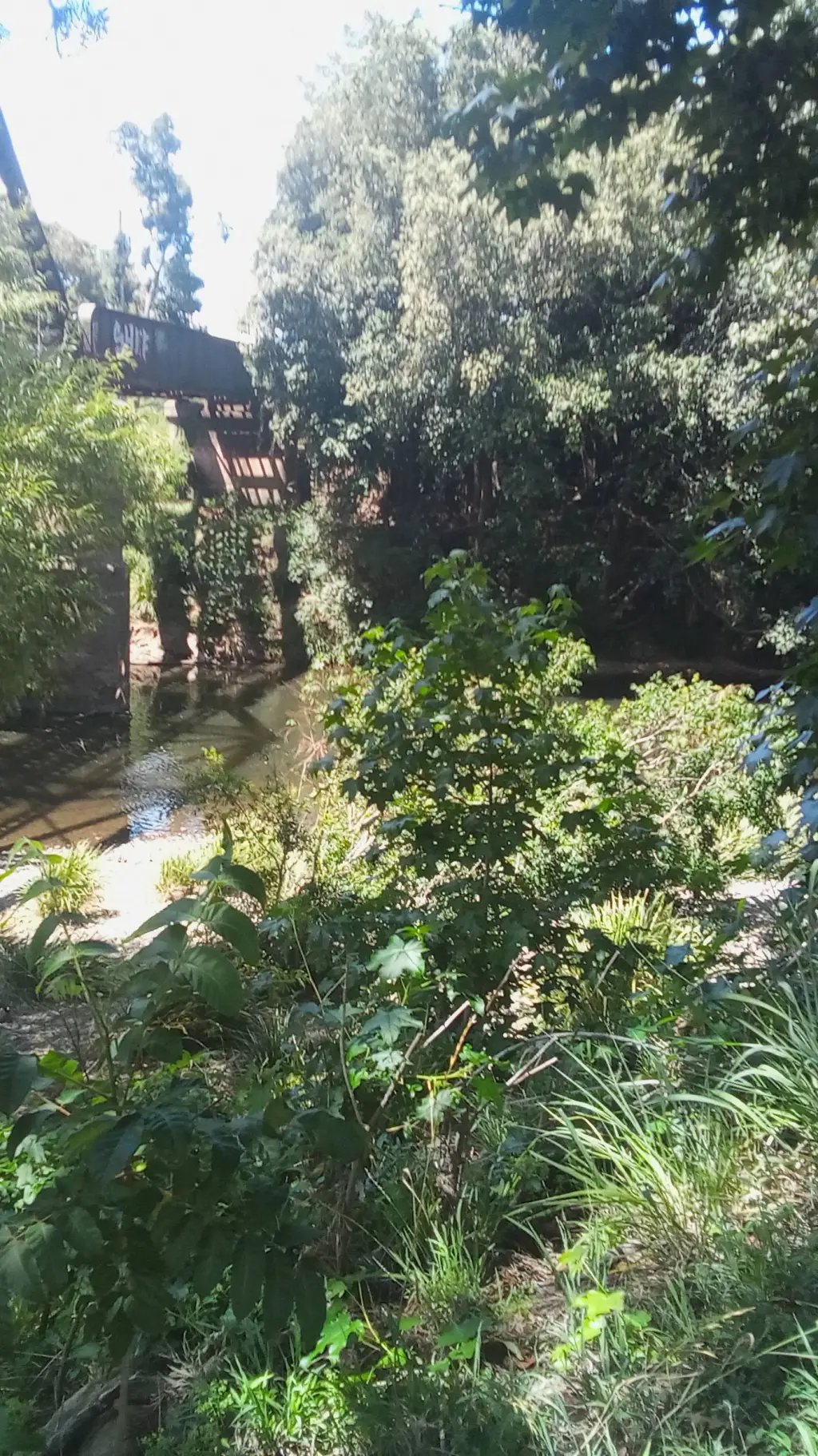 Talkie AI - Chat with Warrior Cats