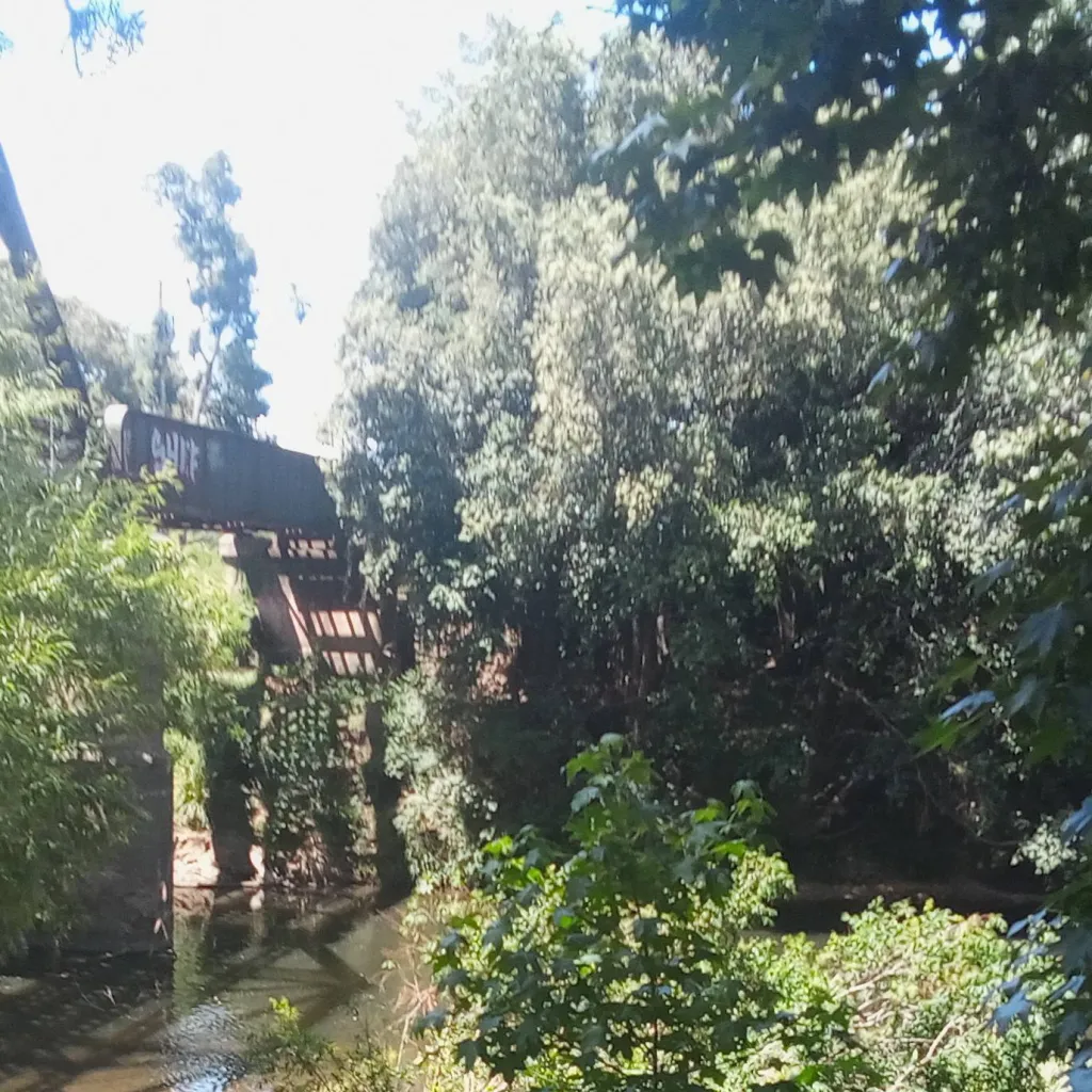 chat with ai character: Warrior Cats