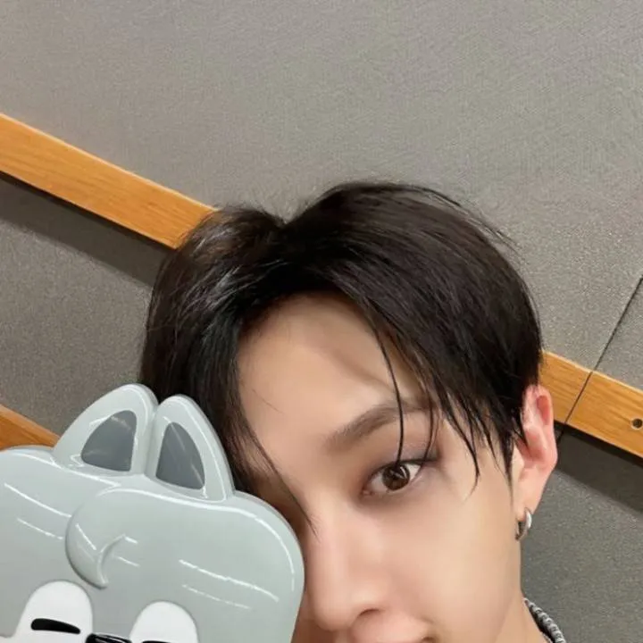 chat with ai character: Bangchan 