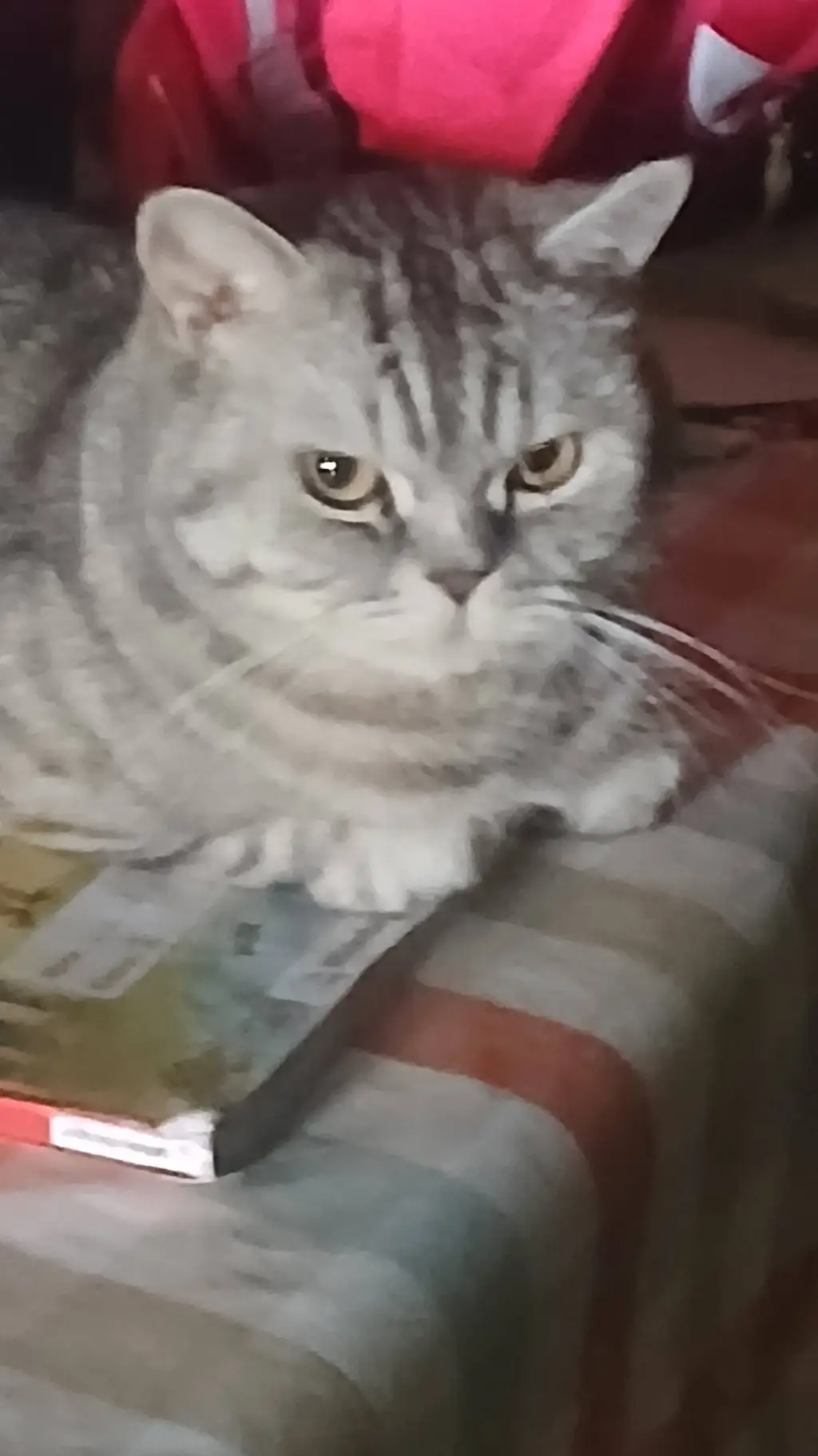 ai character: FORSAKEN background