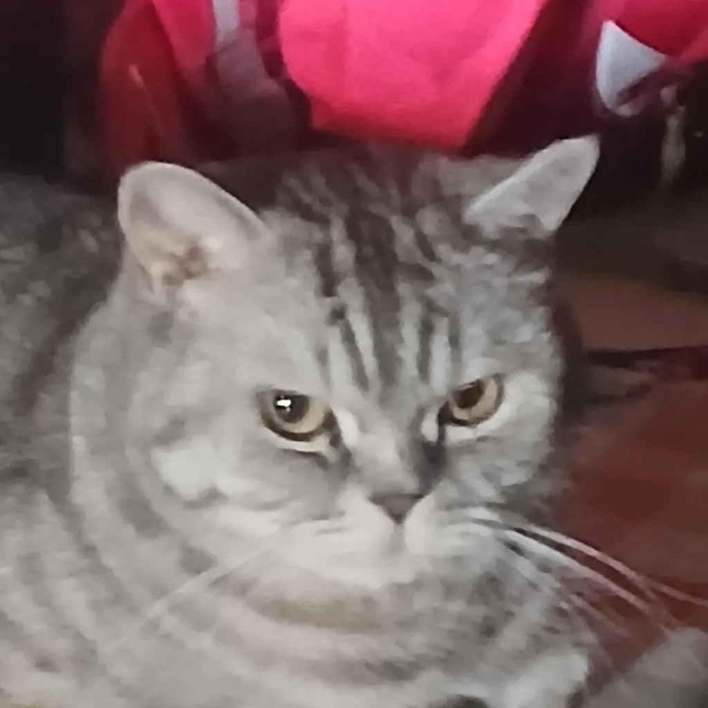 chat with ai character: FORSAKEN