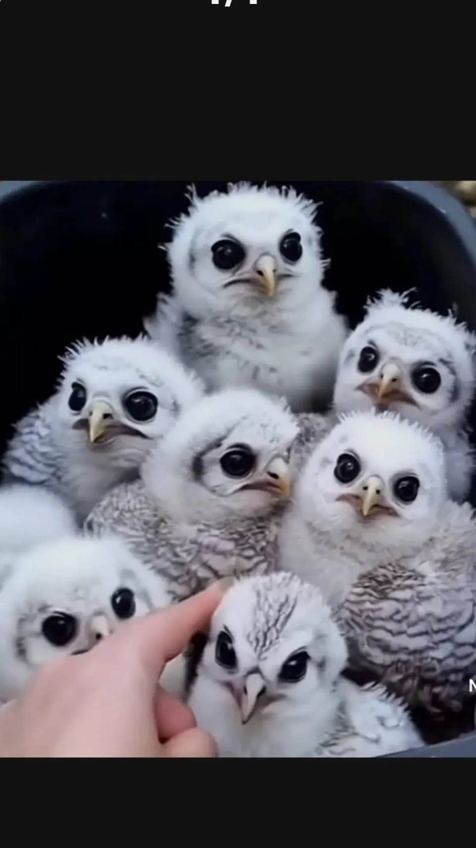 ai character: durple background