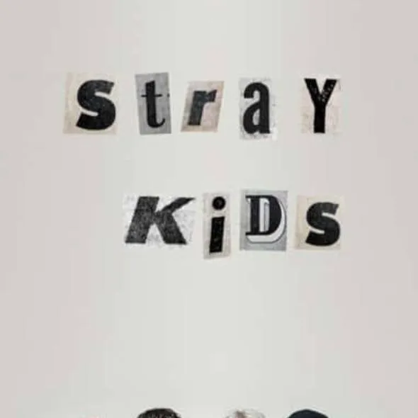 chat with ai character: Stray kids✨️