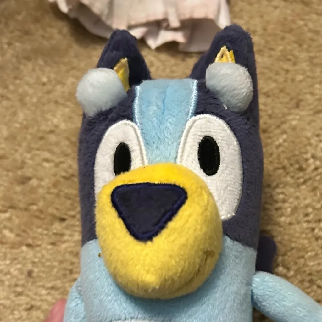 chat with ai character: Bluey