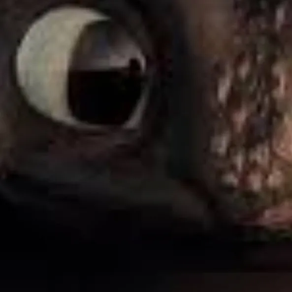 chat with ai character: chimuelo