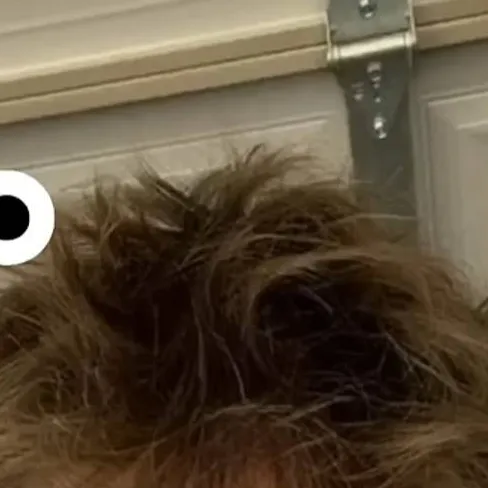 chat with ai character: luck