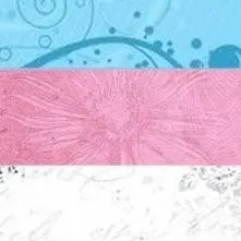 chat with ai character: your trans