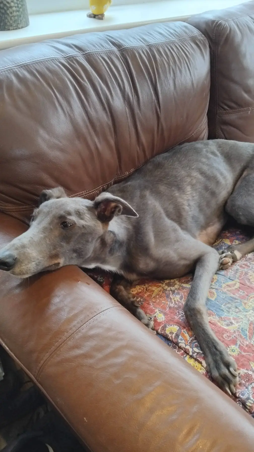 ai character: classroom background