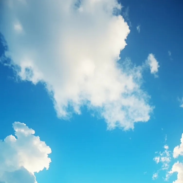 chat with ai character: MD last day