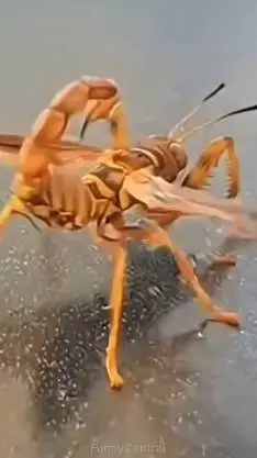 ai character: MD pick me background