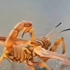 chat with ai character: MD pick me