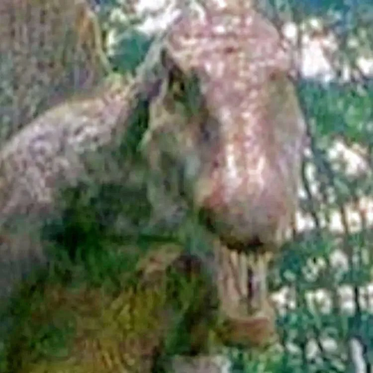 chat with ai character: spino