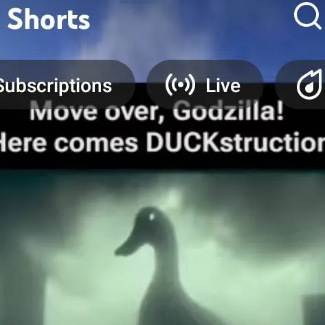 chat with ai character: DUCKstruction!!!